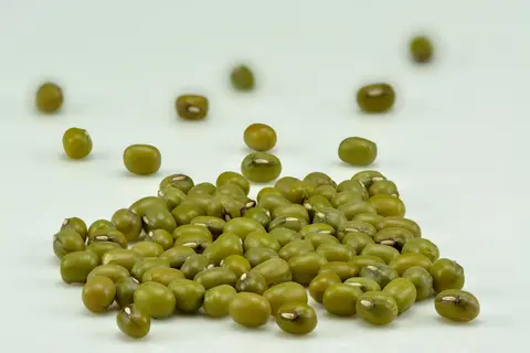 పెసలు పంట