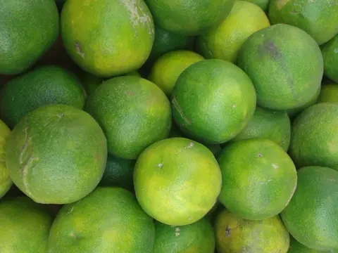 మోసంబి పంట